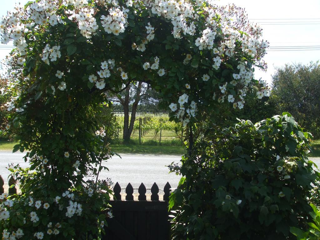 Villa In The Vines Martinborough Exterior foto