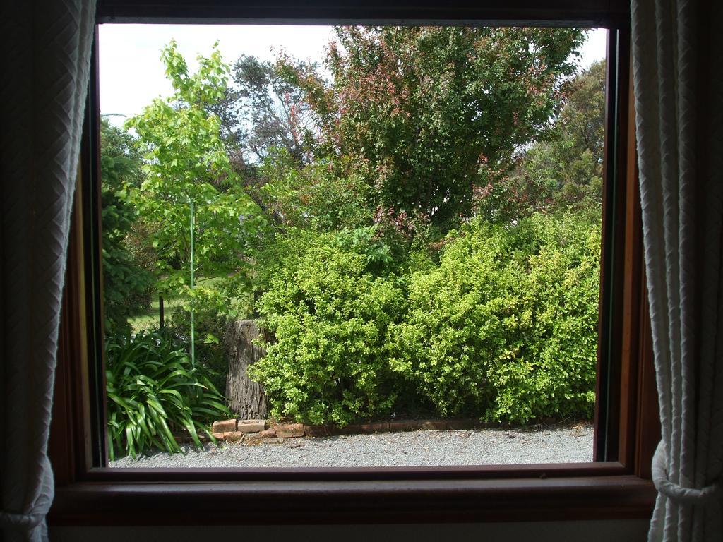 Villa In The Vines Martinborough Exterior foto