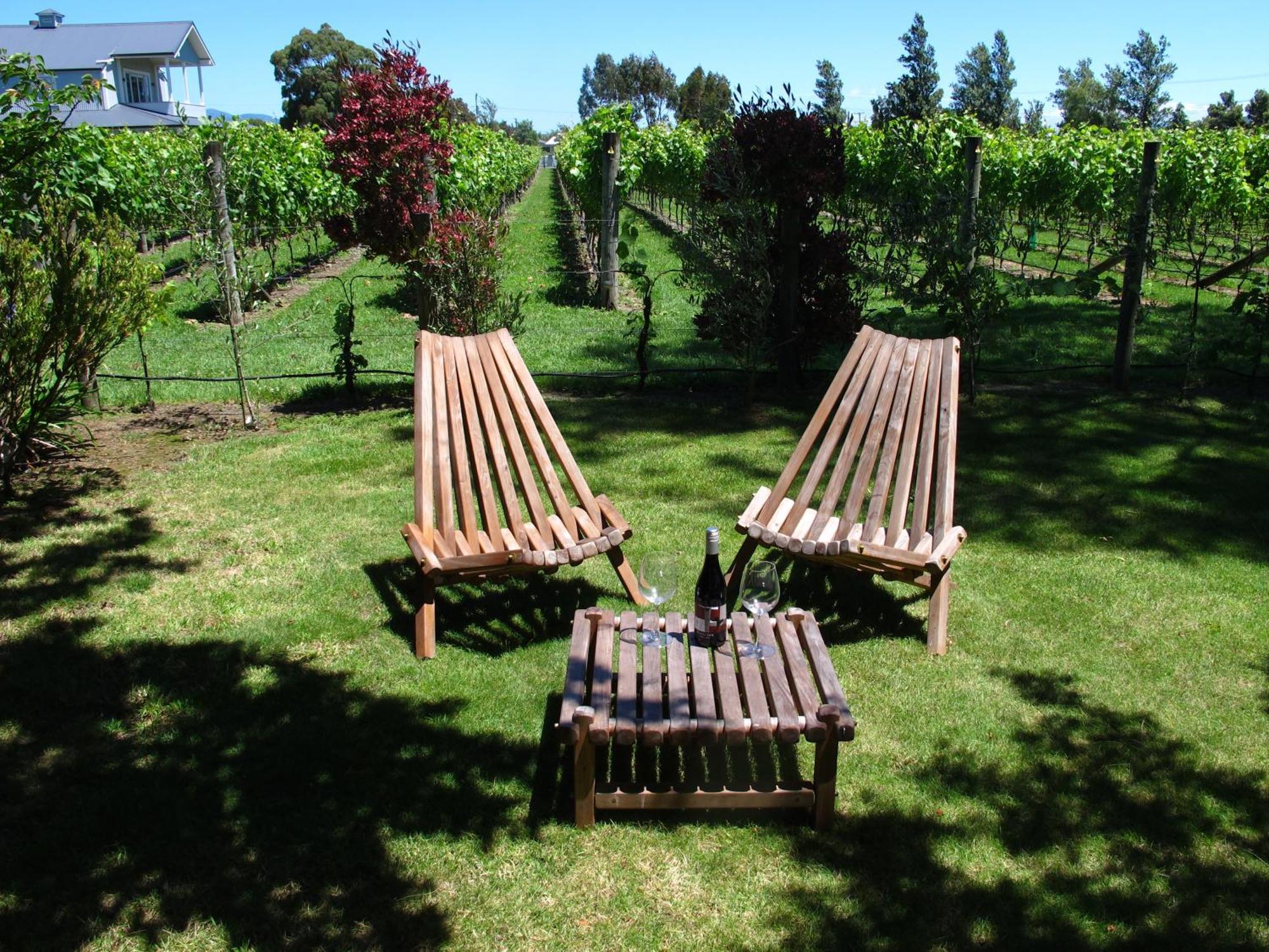 Villa In The Vines Martinborough Exterior foto